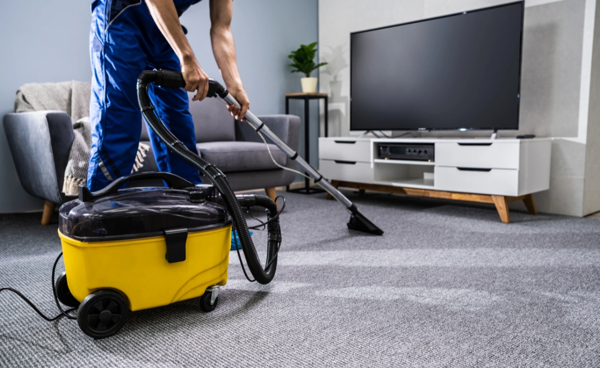 Extract Upholstery Cleaning Olinda Contact Office